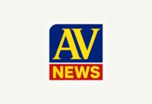 आदिवासी भागात झालेल्या मुसळधार पावसाने करवंदाची झाडे झोडपली